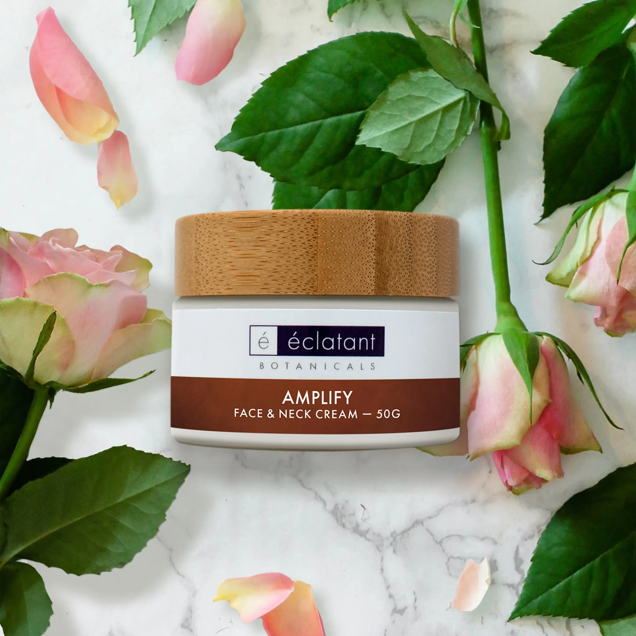 AMPLIFY face & neck cream | mild formula