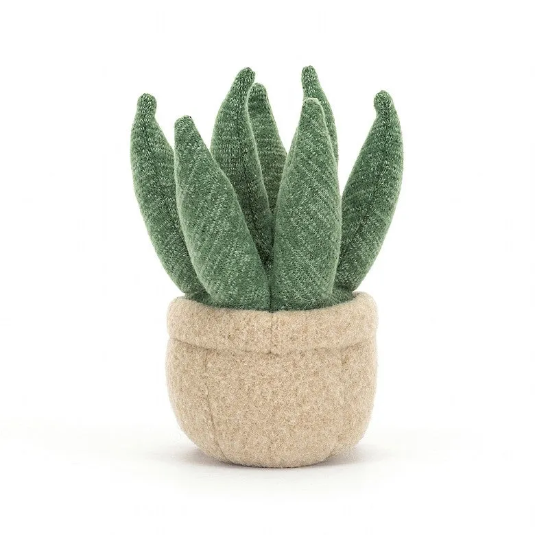 AMUSEABLE ALOE VERA SMALL