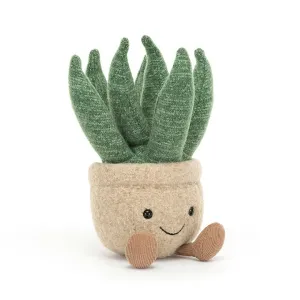 AMUSEABLE ALOE VERA SMALL