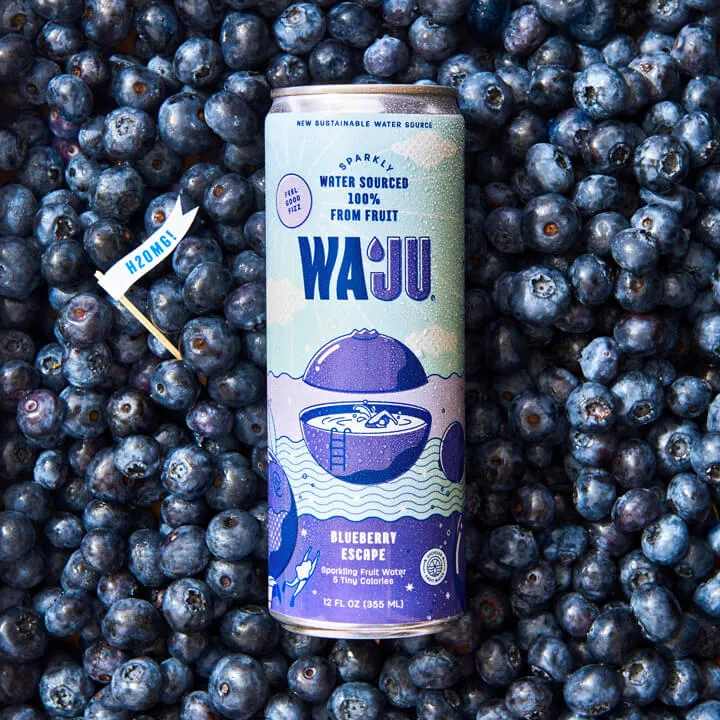 Blueberry Escape