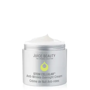 Stem Cellular Anti-Wrinkle Ceramide Overnight Cream